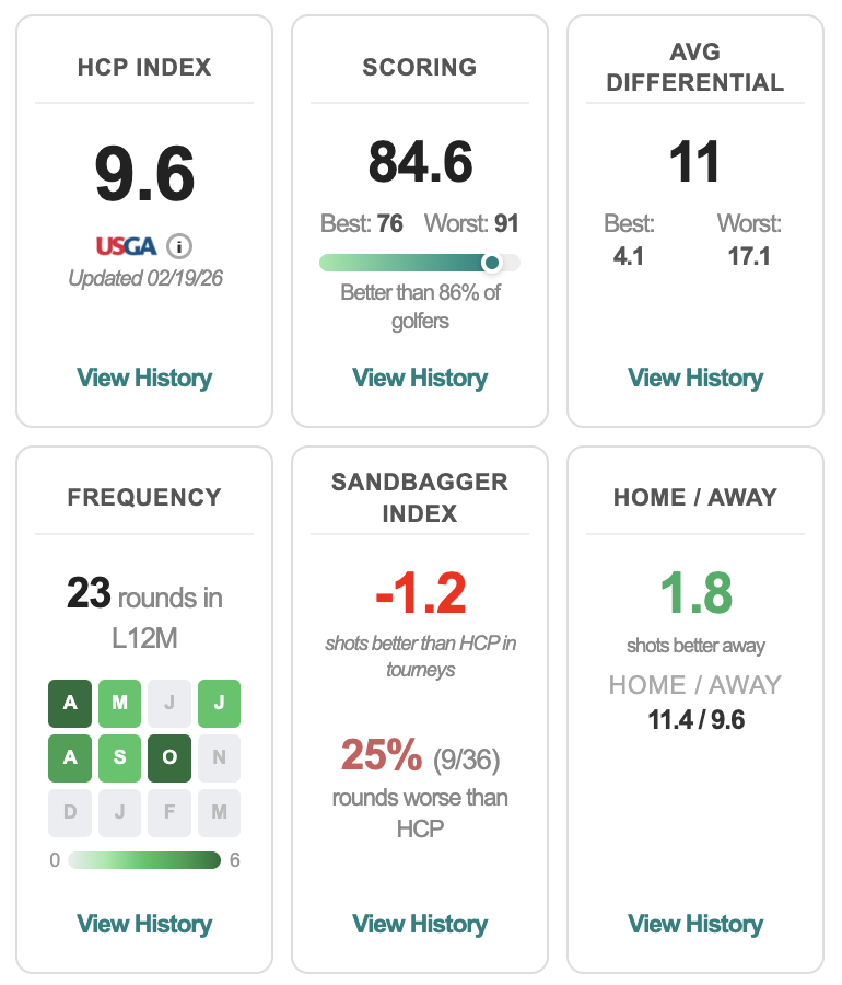Profile stat cards — Sandbagger Index, Home/Away gap, and round frequency all visible